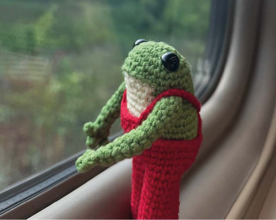 πΈ Milo the Frog